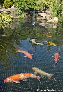 15'x20' ULTRA NET/Netting pond-garden-pool-fish-bird-shade-predator control-koi 