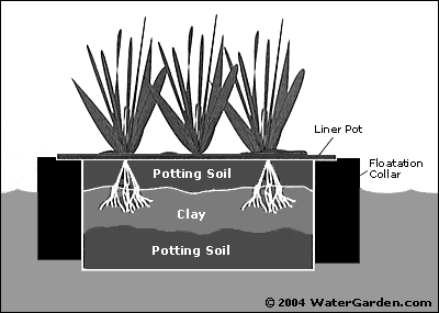 Planting diagram for Floating Island Planters