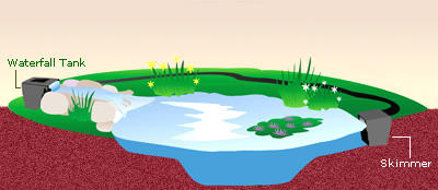 pond illustration with filters